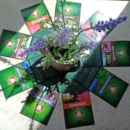 Apartment Lavender *