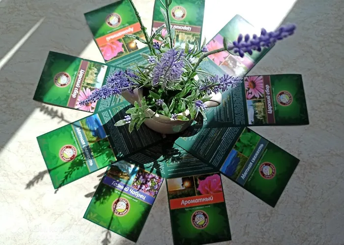 Apartment Lavender *